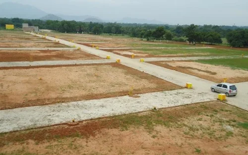 Plot Image 1